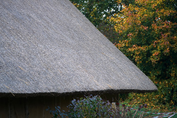 Roofing with different materials is overgrown with moss and other plants