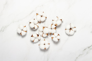 Cotton flowers on a marble background. Natural product concept, decor, home decoration, interior. Flat lay, top view