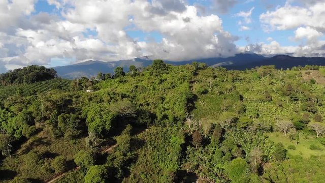 Buenavista Colombia Coffee Farm Aerials 