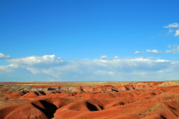 Painted Desert (AZ 00438)