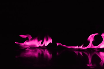 Beautiful fire pink flames on a black background.