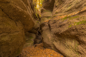 Gorge from sediments of the volcanic flood in the autumn forest