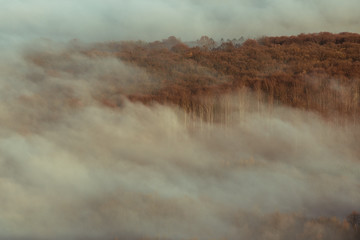 Autumn inverse clouds cover the landscape. From the fog they pull out the tree crowns