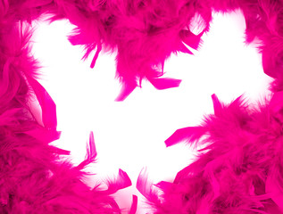 Valentine heart in feathers.
