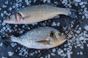 Fresh raw sea fish on ice cubes