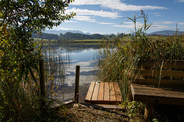 secretive bathing place on the lake with reeds and water lilies and in the background the Alps