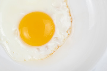 omelet on a white background