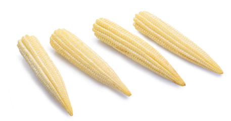 Young small corn closeupon white background