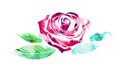 Watercolor rose. Mixed media. Vector illustration