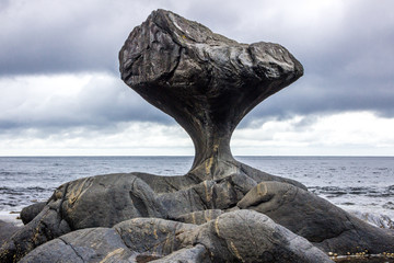 Kannesteinen rock formed by erosion on the sea coast of Norway