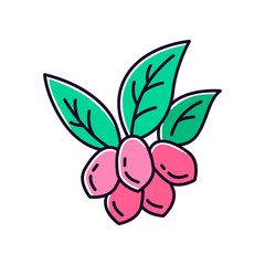 Jojoba green RGB color icon. Fruits with leaves. Botany. Brazilian exotic plant. Miracle fruit. �osmetic oil production. Isolated vector illustration