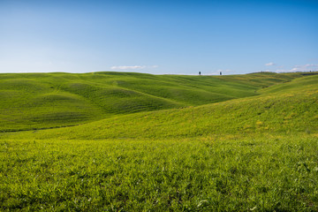Fototapeta na wymiar Beautiful landscape in Val d'Orcia in Tuscany in Italy with green and yellow grass fields and trees with sky with clouds and typical tuscany trees cypresses and sweet hills at sunset