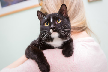 Black cat on the shoulder of  woman