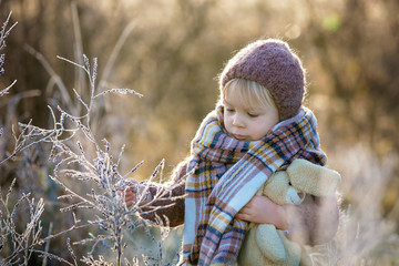 Beautiful toddler boy, dressed in knitted outfit with hat and scarf, playing in frosty morning forest