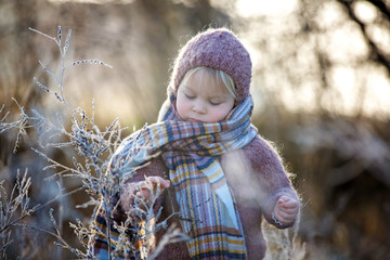 Beautiful toddler boy, dressed in knitted outfit with hat and scarf, playing in frosty morning forest