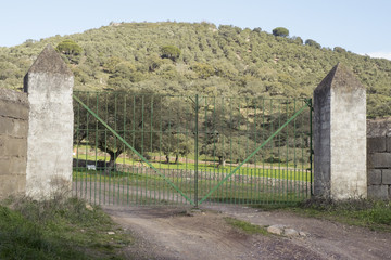 Entrance doors to small or large plots in which the oak and cork oak farms of the pasture are divided into Andalusia for the breeding of cows and pigs in extensive system