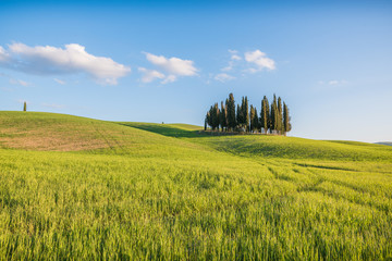 San quirico d'orcia cipressi di san quirico d'orcia at golden hour with beautiful warm light and clouds on hills italian landscape in tuscany in italy