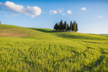 San quirico d'orcia cipressi di san quirico d'orcia at golden hour with beautiful warm light and clouds on hills italian landscape in tuscany in italy