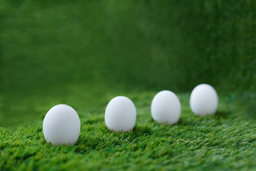 white chicken eggs on green grass, which are a symbol for the celebration of the Easter religious holiday among Christians and Catholics