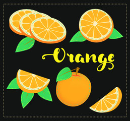 Background with vector hand drawn orange set. Lettering.