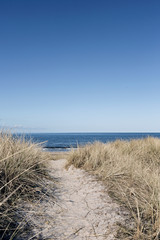 Chemin vers la plage