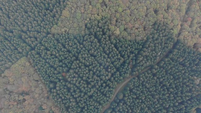Drone flying over a dark mystical and foggy forest