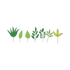 Set of green stylized vector leaves
