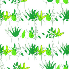 Fototapeta na wymiar Seamless vector floral pattern. Decorative botanical background.