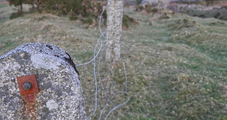 Stone fence posts on Cornish moorland