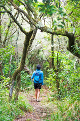 Naklejka na ściany i meble brave woman free in trekking hiking , Madeira island routes