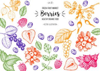 Berry hand drawn vector illustration frame. Hand drawn sketch illustration with strawberry, cranberry, briar berry, shadberry, blackberry, gooseberry Healthy food design template with berry.