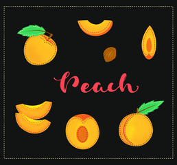 Peach. Whole and pieces. Vector stock illustration. Colored fruit set art on black background. Lettering. 