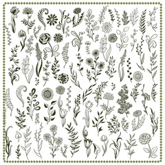 Vector collection of hand drawn flowers and herbs