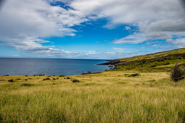 Maui Landscape #2