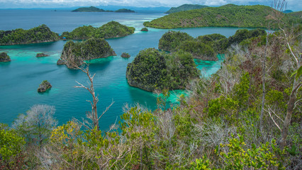 Painemo Island, Blue Lagoon, Raja Ampat, West Papua, Indonesia