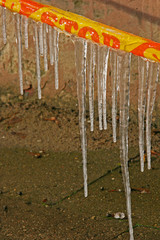 Fototapeta premium icicle danger