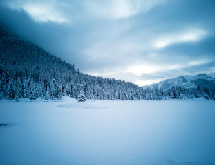 Obraz premium Snow covered frozen beautiful Gold Creek Pond with snow covered trees and trail during the winter in the Alpine Lakes Wilderness in Kittitas county Washington State