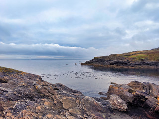 view of the scenic, coastal shoreline of San Juan Island, WA