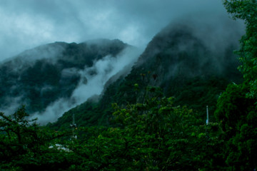 niebla