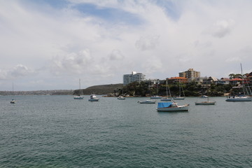 Fototapeta premium Little Manly Beach in Sydney, New Soth Wales Australia