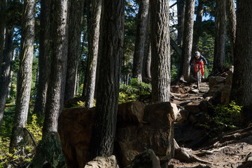 mountainbiker surrounded by trees on mountain
