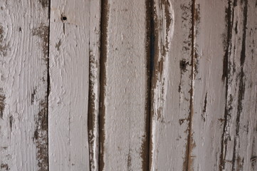 Obraz premium wood background