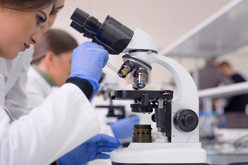 Group of  Laboratory scientists working at lab with test tubes, test or research in clinical laboratory.Science, chemistry, biology, medicine and people concept.