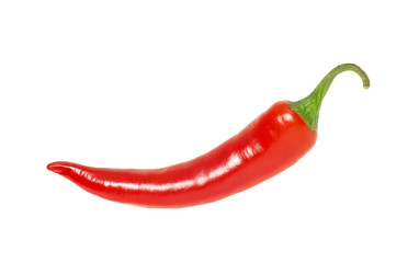 chili pepper