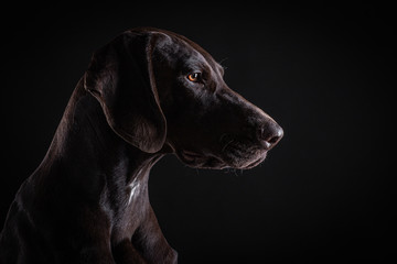 Pointer and black background 