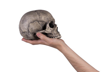 Holding human skull in hand, isolated on white