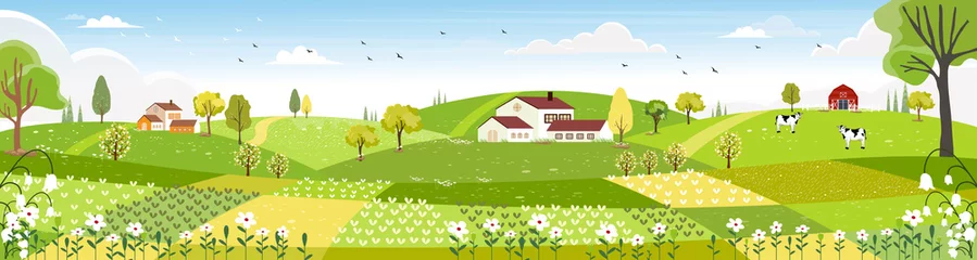 Poster Im Rahmen Ländliche Bauernhoflandschaft mit grünen Feldern, Bauernhaus, Scheune, Tierkuh, blauem Himmel und Wolken, Vektorkarikatur-Frühlings- oder Sommerlandschaft, panoramische Landschaftslandschaft © Anchalee