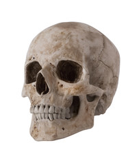Naklejka premium Human skull, isolated on white background