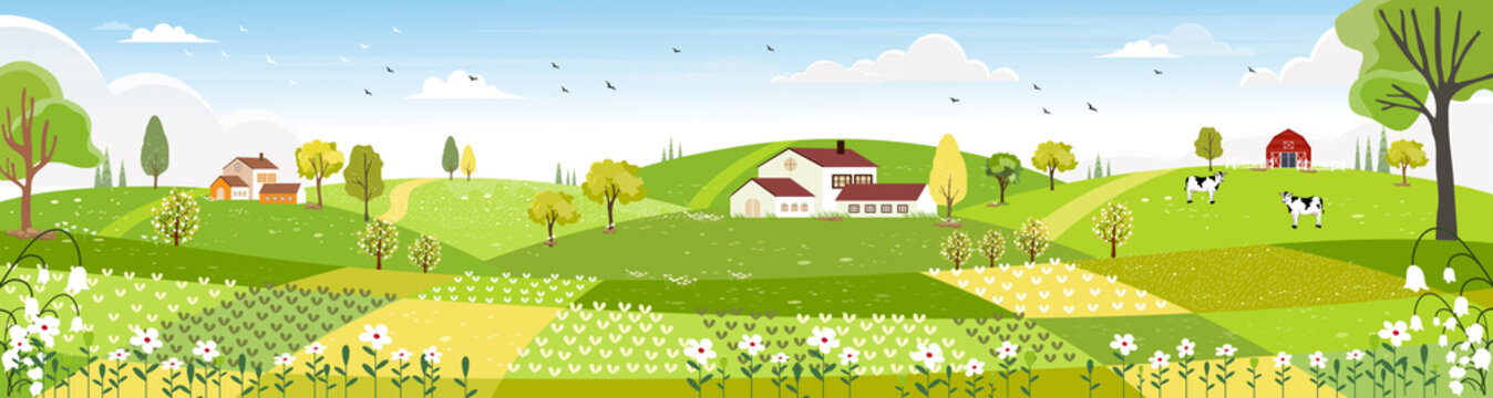 Rural farm landscape with green fields, farm house, barn, animals cow, blue sky and clouds,  Vector cartoon Spring or Summer landscape, Panoramic countryside landscape