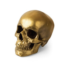 Gold human skull isolated